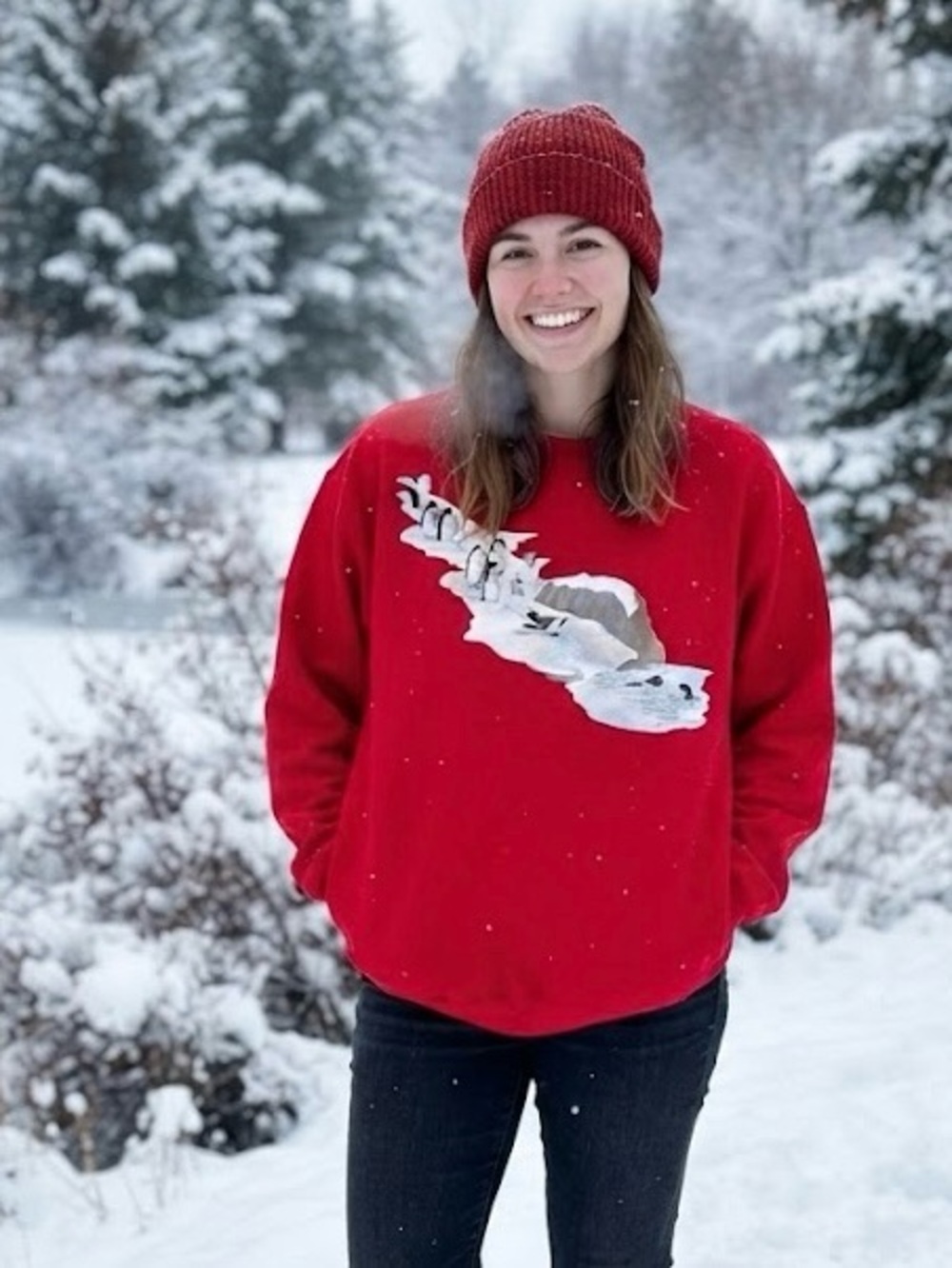 Northern Reflections Vintage Red Penguin Sweatshirt Winter Snow Cozy Crewneck